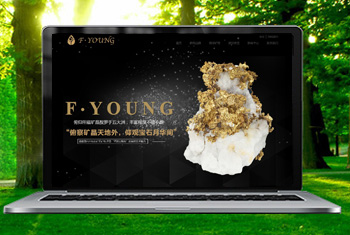 �ն��������ﱦʯ